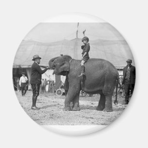 Teddy Roosevelt at the Circus: 1924 Magnet