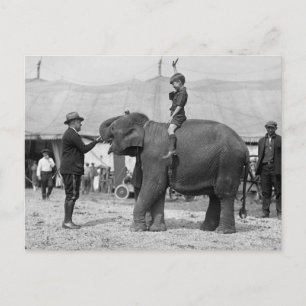 Teddy Roosevelt at the Circus: 1924 Postcard