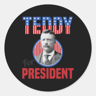 Teddy Roosevelt For President Bull Moose Theodore Classic Round Sticker
