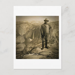 Teddy Roosevelt Glacier Point Yosemite Valley Postcard