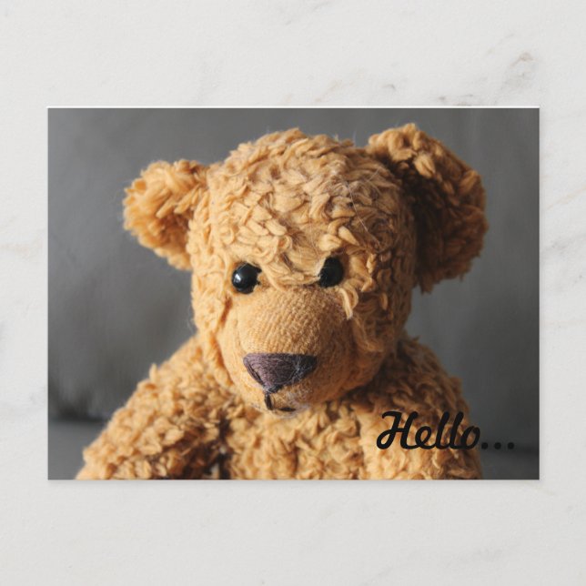 Teddy says hello postcard (Front)