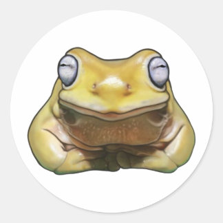 Teddy shy boy sticker Sticker