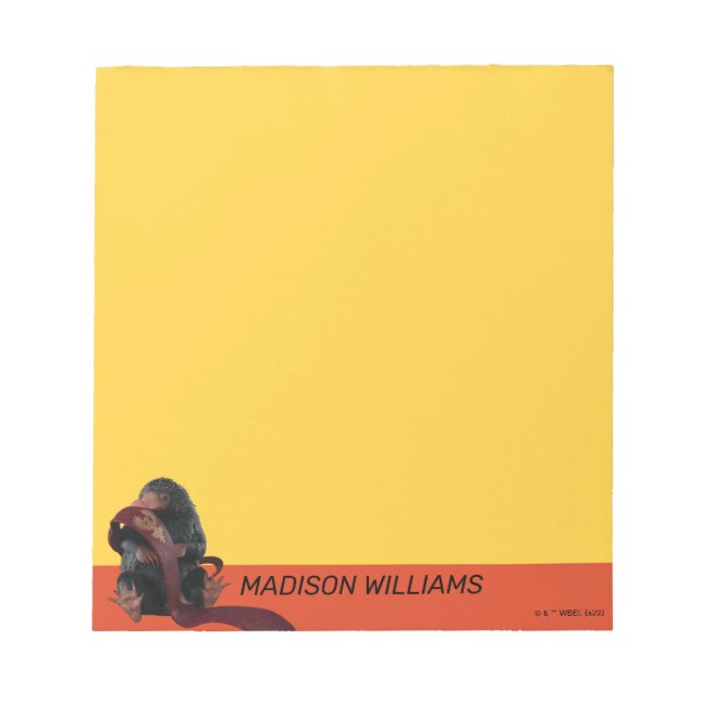 Teddy With Tie Graphic Notepad (Front)