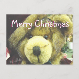 Teddybear MC-customise Holiday Postcard
