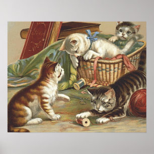 TEE Curious Cat Poster