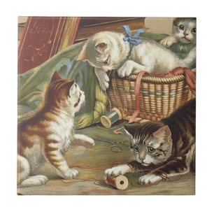 TEE Curious Cat Tile