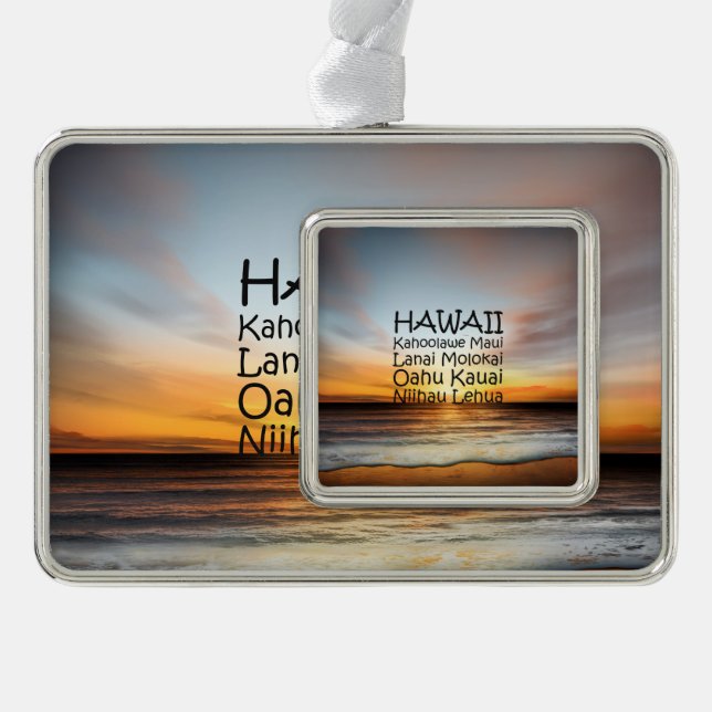 TEE Hawaii Silver Plated Framed Ornament (Front)