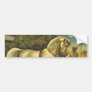 TEE Horse Royalty Bumper Sticker