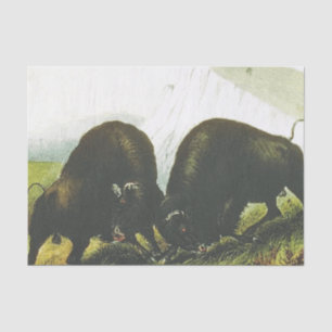 TEE Prairie Battle Tissue Paper