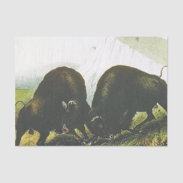 TEE Prairie Battle Tissue Paper (Front)