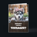 Teen Teenager Happy Birthday Cute Husky Funny Card<br><div class="desc">A shocked looked on this cute husky pup's face as she tries to soak in that a kid she knows is now a teenager!  A fun teen birthday card.</div>
