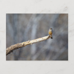 Teenie Tiny Postcard
