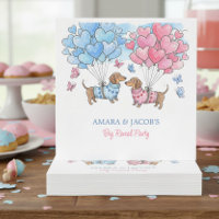 Teenie Weenie Sweetheart Dachshund Gender Reveal