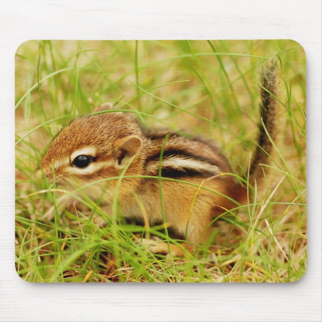 Teeny Tiny Baby Chipmunk Mouse Mat (Front)