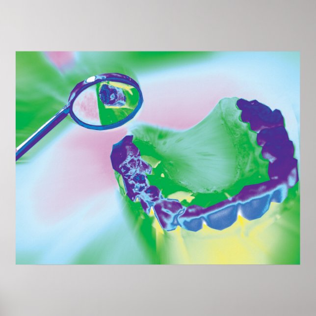 Teeth Model Dental Care Dentist Poster (Front)