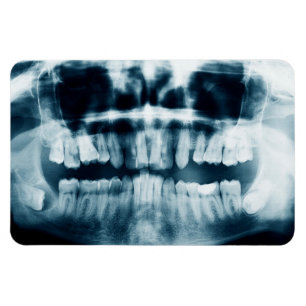 Teeth X-ray Magnet