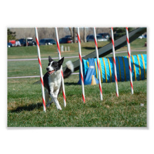 TeeVee Photo Print