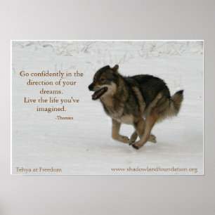 Tehya at Freedom Wolflection Poster