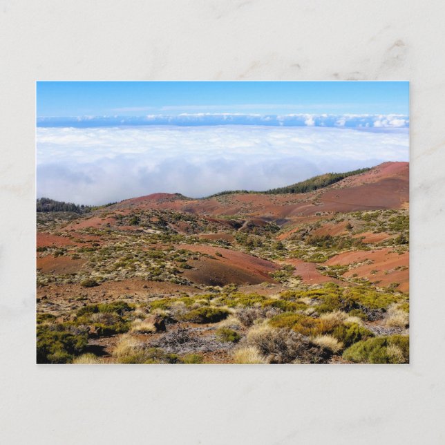 Teide National Park Postcard (Front)