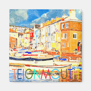 Teignmouth Magnet