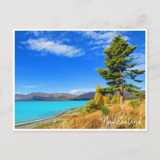 tekapo new zealand postcard (Front)