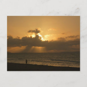 tela beach run postcard