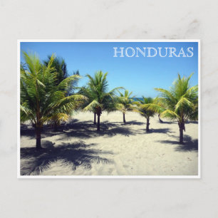 tela palms honduras postcard