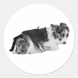 Tell Me I’m Good Classic Round Sticker