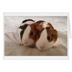Telmha & Louise