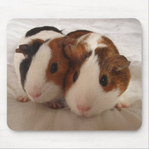 Telmha & louise mouse mat