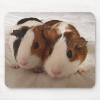 Telmha & louise mouse mat