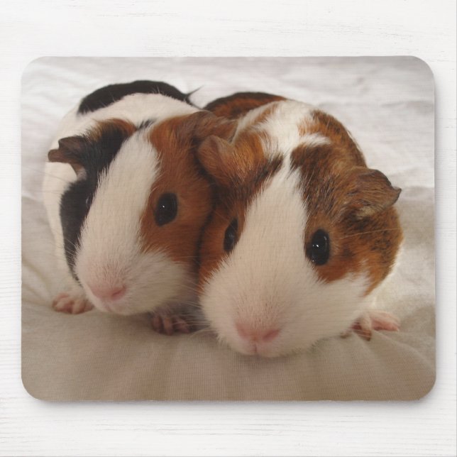 Telmha & louise mouse mat (Front)