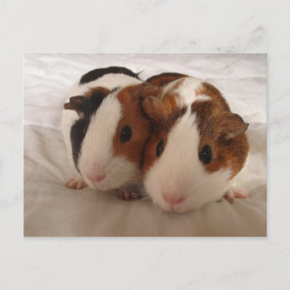 Telmha & louise postcard