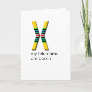 Telomeres Card