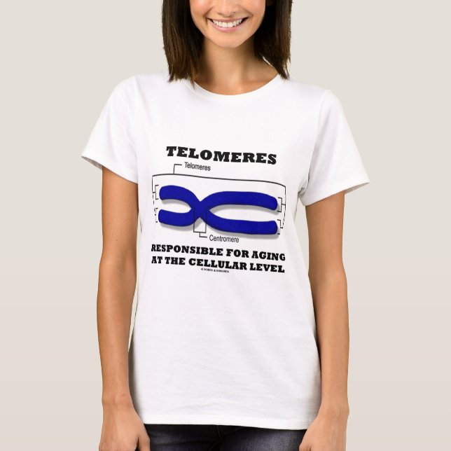 Telomeres Responsible For Aging At Cellular Level T-Shirt (Front)