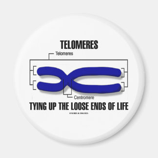 Telomeres Tying Up The Loose Ends Of Life Magnet
