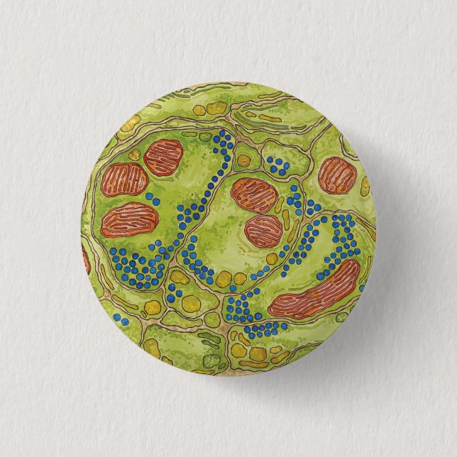 TEM synapse - Pin & Button (Front)