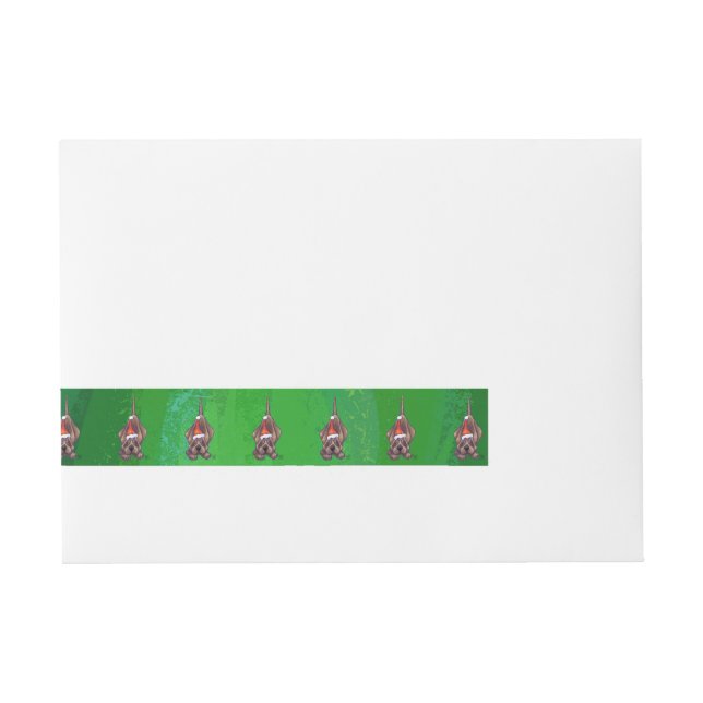 Temp Wraparound Address Label (Front)
