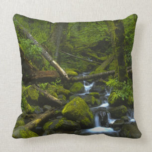 Temperate Rainforest Stream in Columbia River Cushion