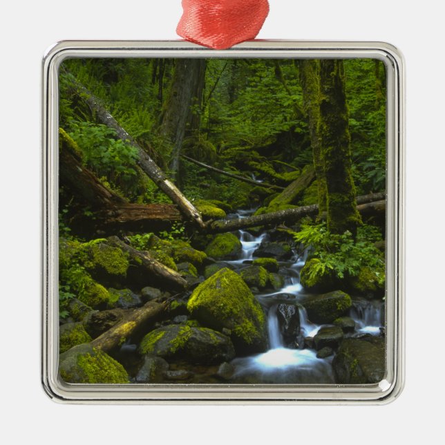 Temperate Rainforest Stream in Columbia River Metal Tree Decoration (Front)