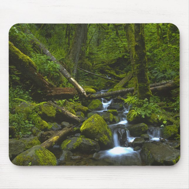 Temperate Rainforest Stream in Columbia River Mouse Mat (Front)