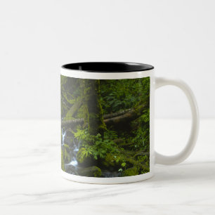 Temperate Rainforest Stream in Columbia River Two-Tone Coffee Mug