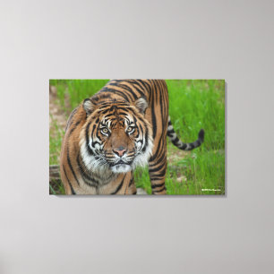 template canvas print