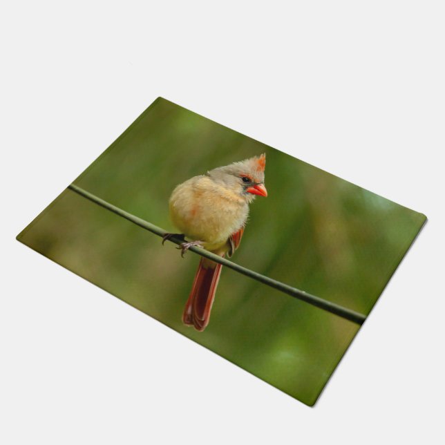 template door mat (Angled)
