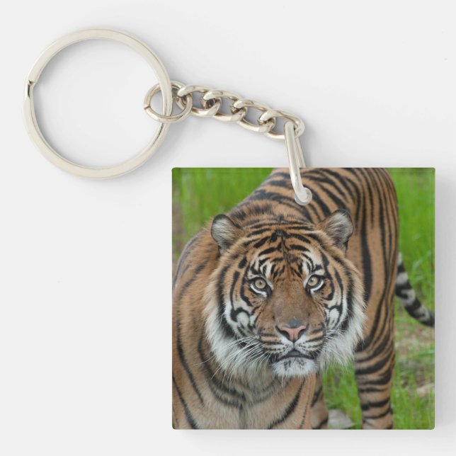 template key ring (Front)
