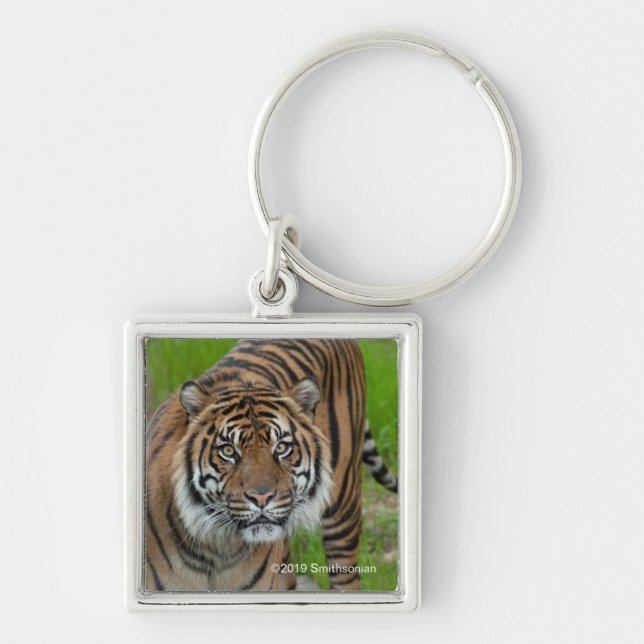 template key ring (Front)