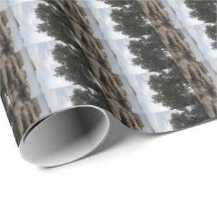 Template Photo Rectangle Camera Wrapping Paper