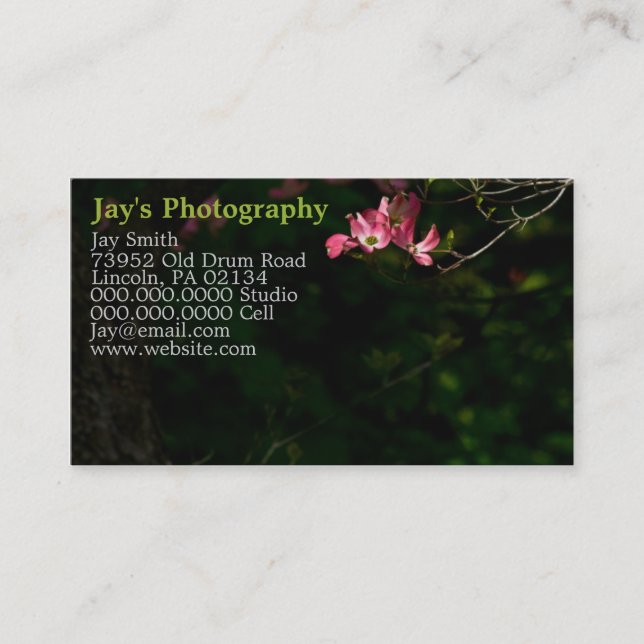 Template Photography Business Cards (Front)
