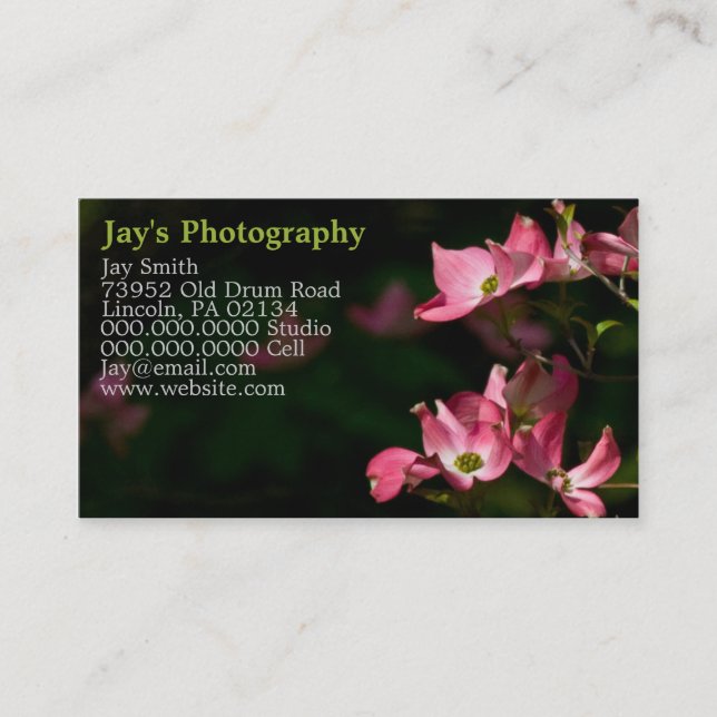Template Photography Business Cards (Front)