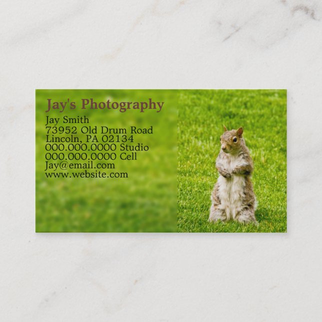 Template Photography Business Cards (Front)